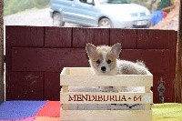 Reno Clio de Mendiburua