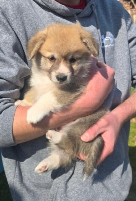 MARLEY
